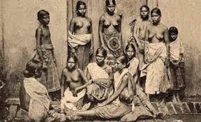 முலை வரி