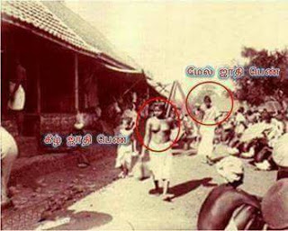 முலை வரி