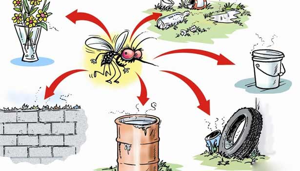 How-to-prevent-dengue-fever