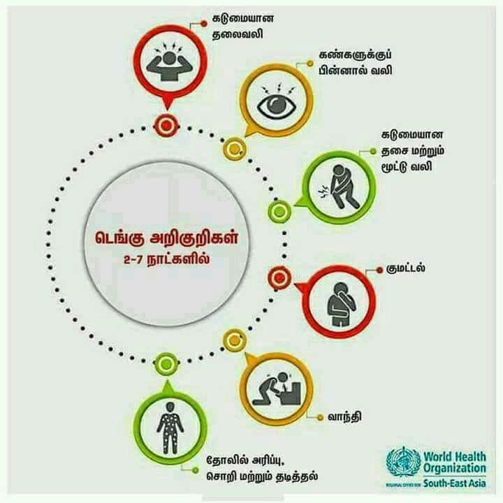 dengue symptoms