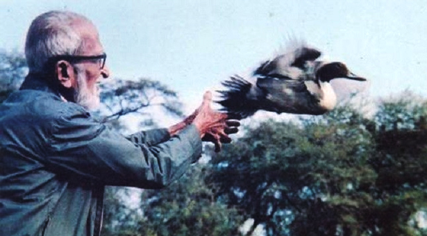 salim ali