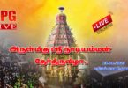 Pattukkottai Nadiamman Temple Therottam LIVE